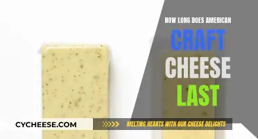 The Longevity of American Craft Cheese: How Long Does it Last?