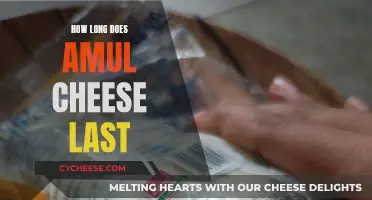 Amul Cheese: How Long Does It Stay Fresh?