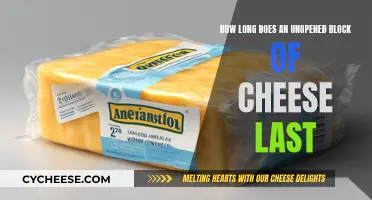 Cheese Storage: Unopened Block Shelf Life Explained