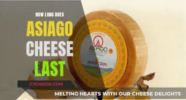 The Longevity of Asiago Cheese: How Long Can You Store It?