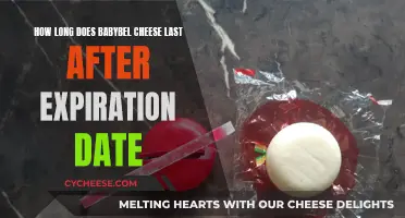 Babybel Cheese: How Long Does It Really Last?