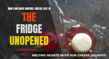 Babybel Cheese: How Long Does it Last Unopened?