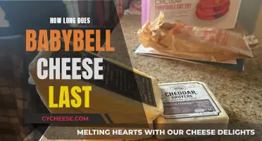 The Mystery of Babybell Cheese's Longevity: An Exploration