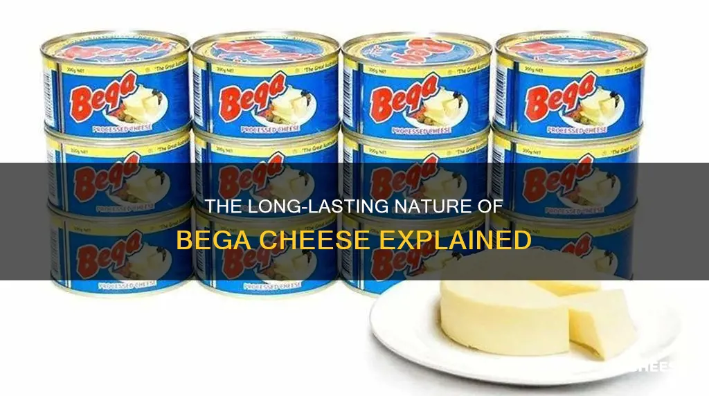 how long does bega cheese last