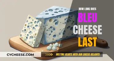 Bleu Cheese: How Long Does It Last?