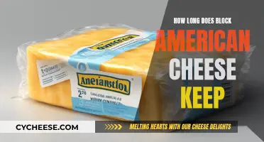 American Block Cheese: How Long Does It Stay Fresh?