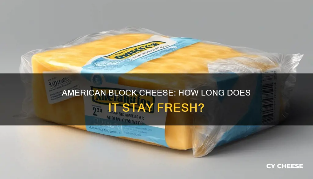 how long does block american cheese keep