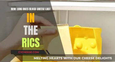 Cheese Lifespan: Block Cheese's Fridge Freshness