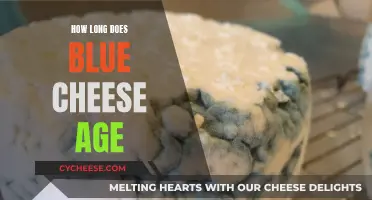 Aging Blue Cheese: How Long Does It Take?