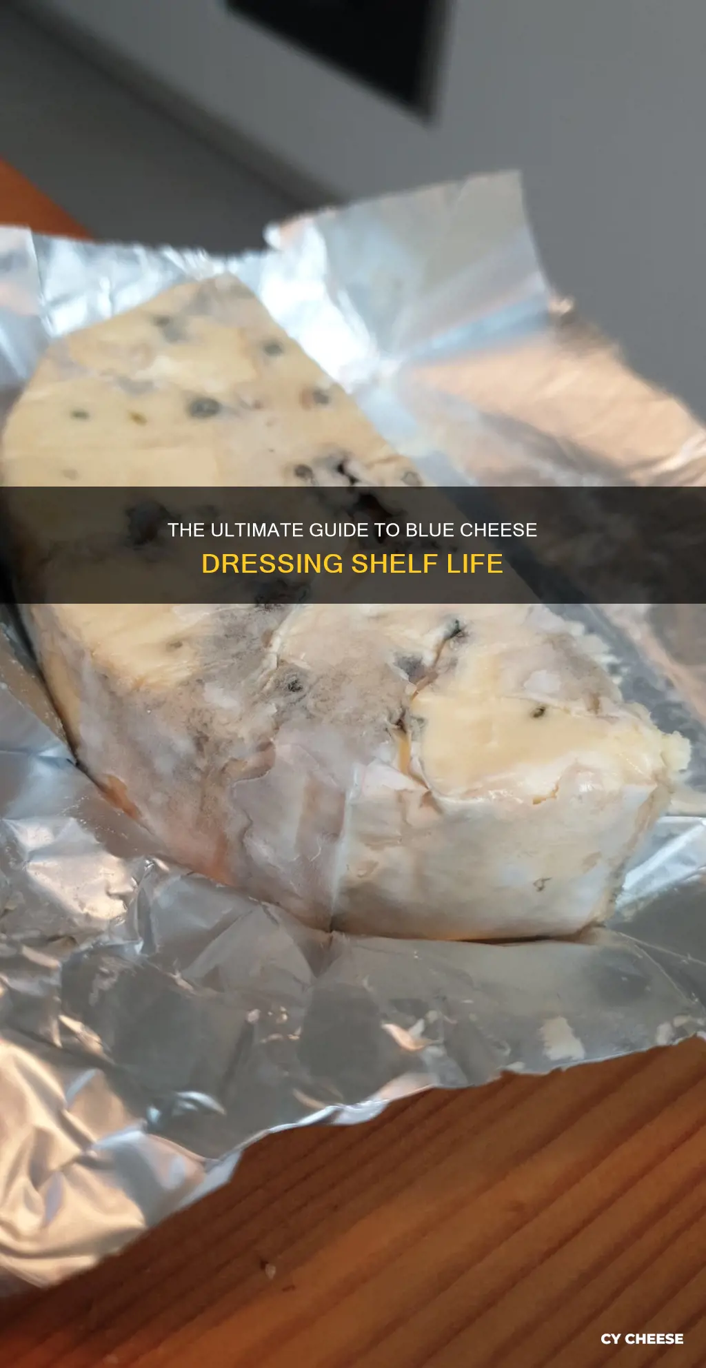 how long does blue cheese dresinglast