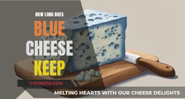 Blue Cheese: How Long Does It Last?