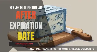 Blue Cheese: How Long Does It Actually Last?