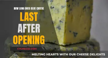 Blue Cheese: How Long Does It Last Once Opened?