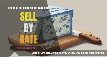 Blue Cheese: How Long Does It Really Last?