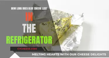 Blue Cheese: How Long Does it Last in Fridge?