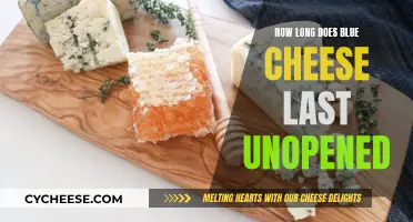 Blue Cheese: Unopened Shelf Life and Storage Guide