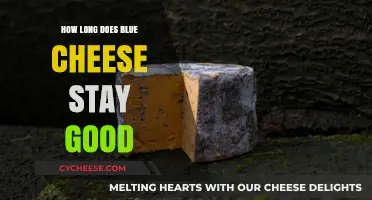 Blue Cheese: How Long Does It Stay Fresh?