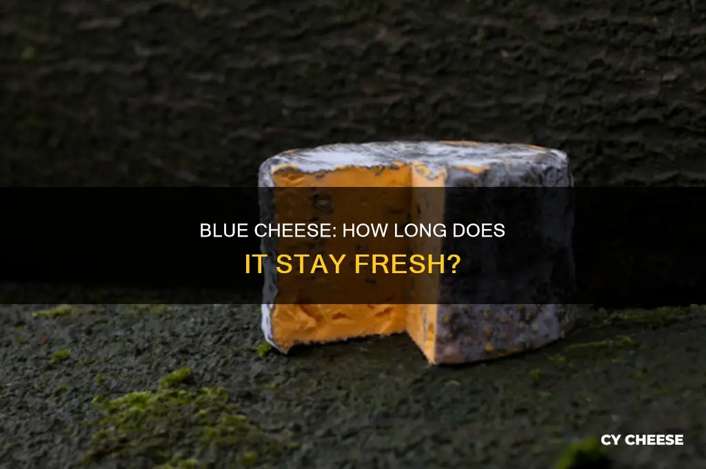how long does blue cheese stay good