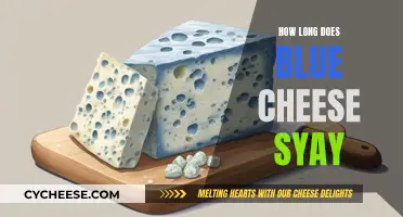 Blue Cheese: How Long Does It Stay Fresh?