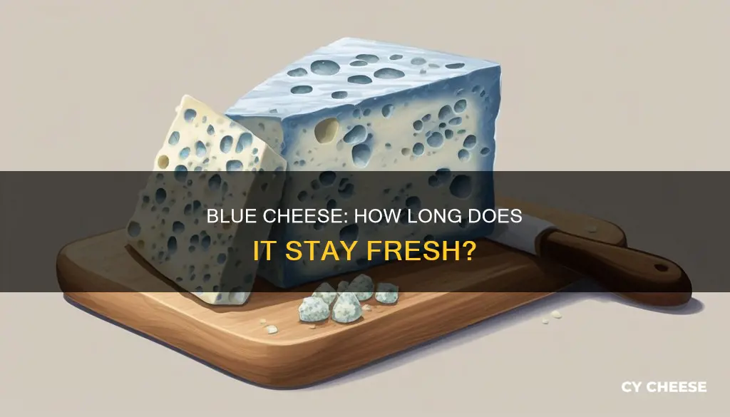 how long does blue cheese syay