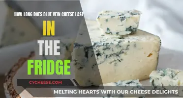 Blue Vein Cheese: How Long Does it Last?