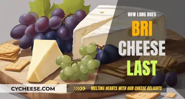 Bri Cheese: How Long Does It Stay Fresh?