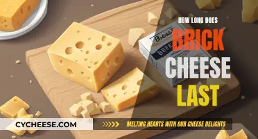 The Lifespan of Brick Cheese: How Long Does it Last?