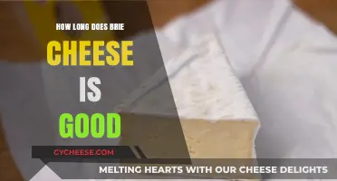 Brie Cheese: How Long Does It Last?