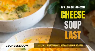 Broccoli Cheese Soup: How Long Does It Stay Fresh?