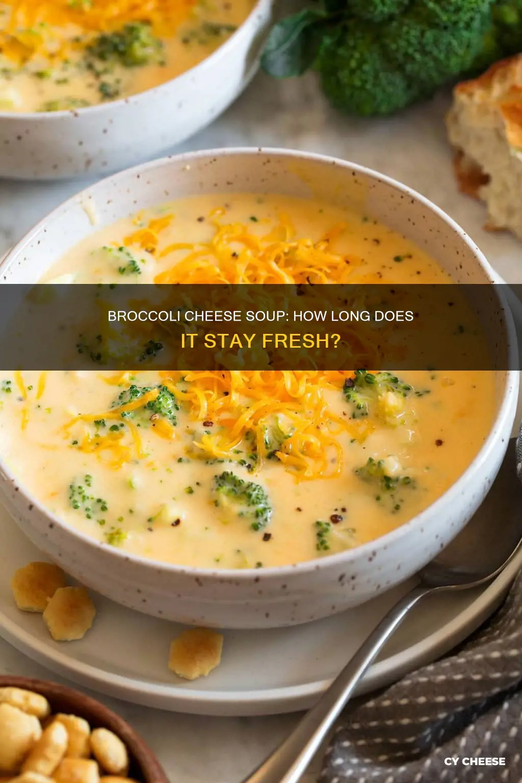 how long does broccoli cheese soup last