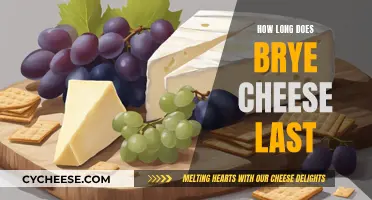 Brie Cheese: How Long Does It Last?