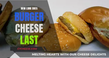 The Lifespan of Burger Cheese: How Long Does it Last?