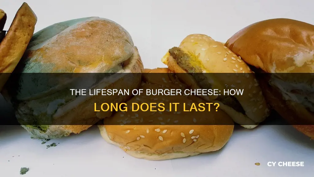 how long does burger cheese last