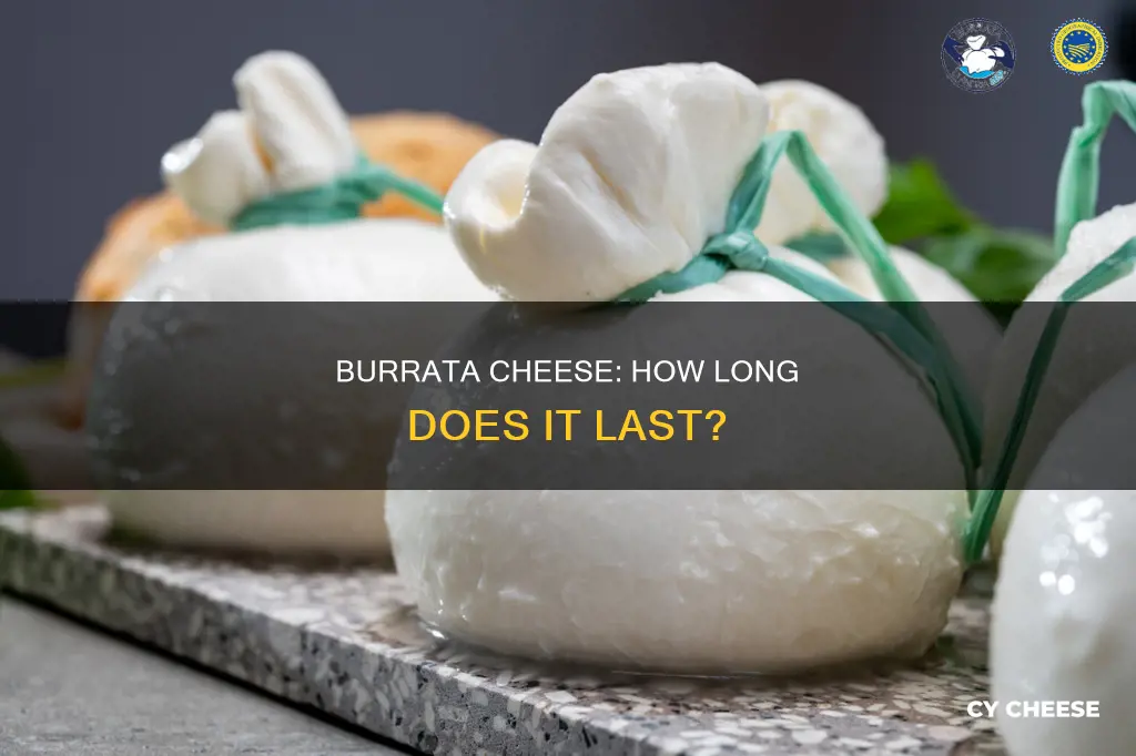 how long does burrata cheese last in fridge opened