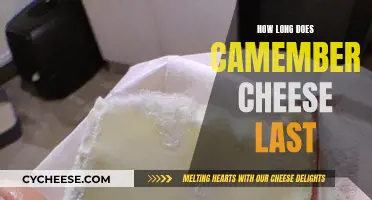 The Lifespan of Camembert Cheese: How Long Does it Last?