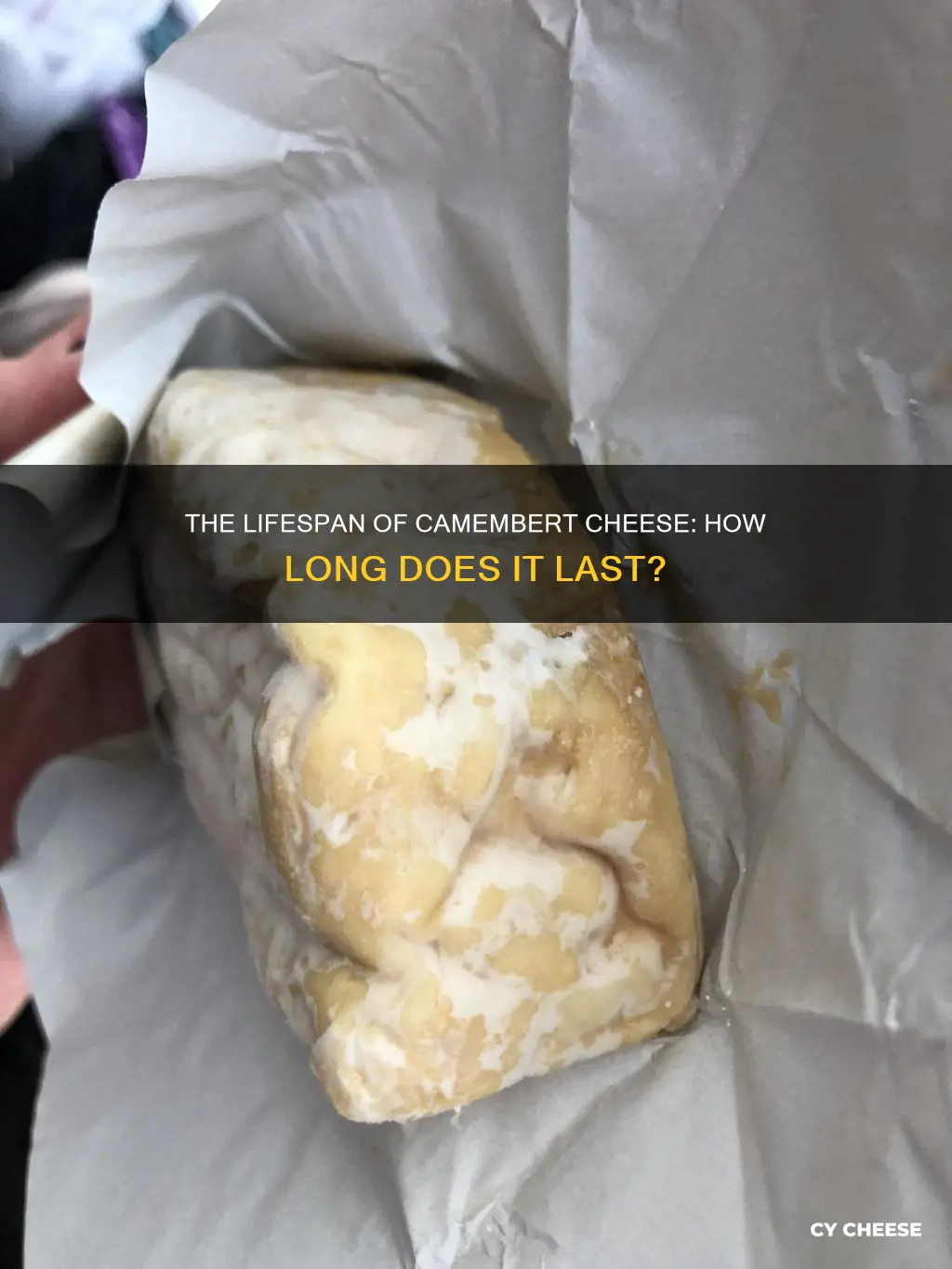 how long does camembert cheese last