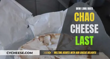 Chao Cheese: How Long Does It Last?