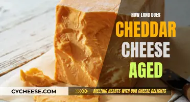 Aging Cheddar Cheese: How Long Does it Take?