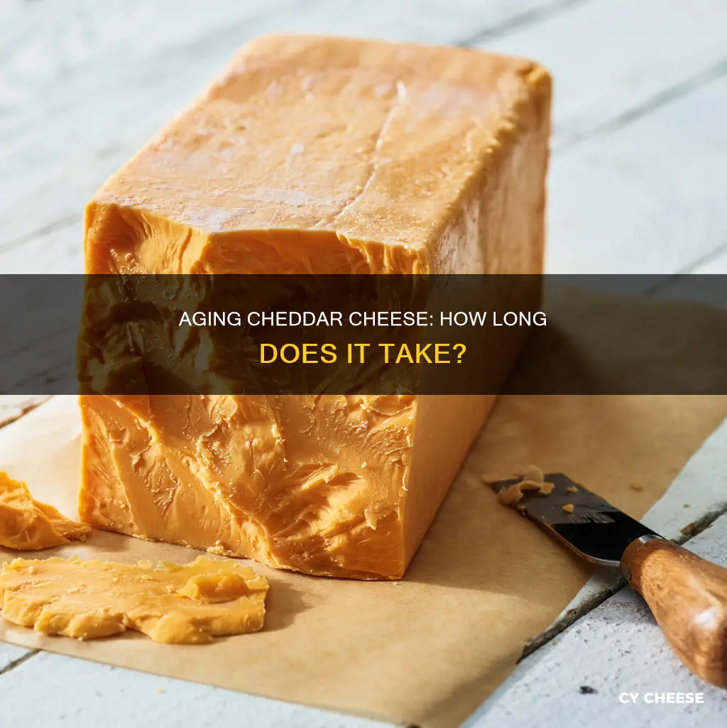 how long does cheddar cheese aged