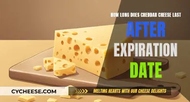 Cheddar Cheese: How Long Does It Really Last?