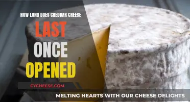 Cheddar Cheese: How Long Does It Last Once Opened?