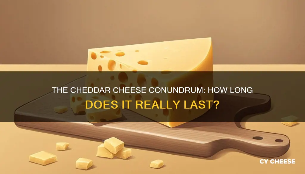 how long does cheddar cheese last