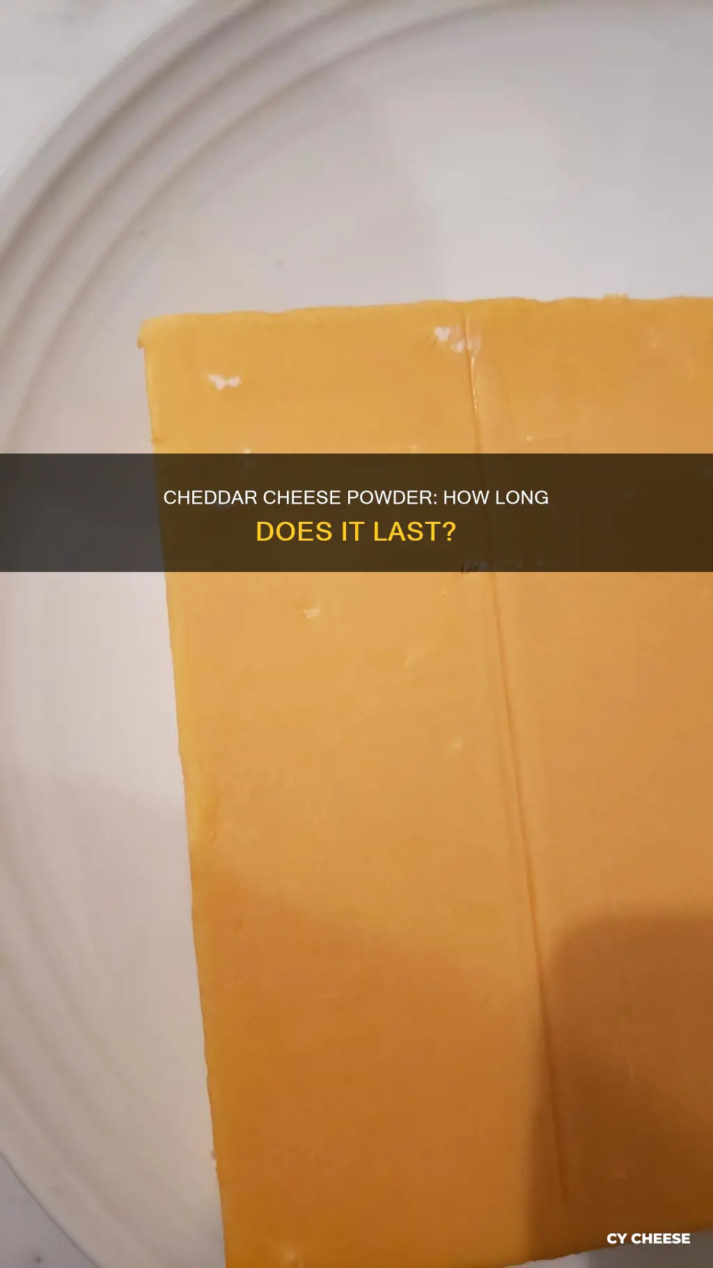 how long does cheddar cheese powder last