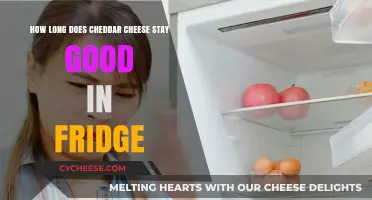 Cheddar Cheese: How Long Does it Last?