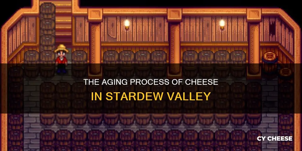 how long does cheese age stardew