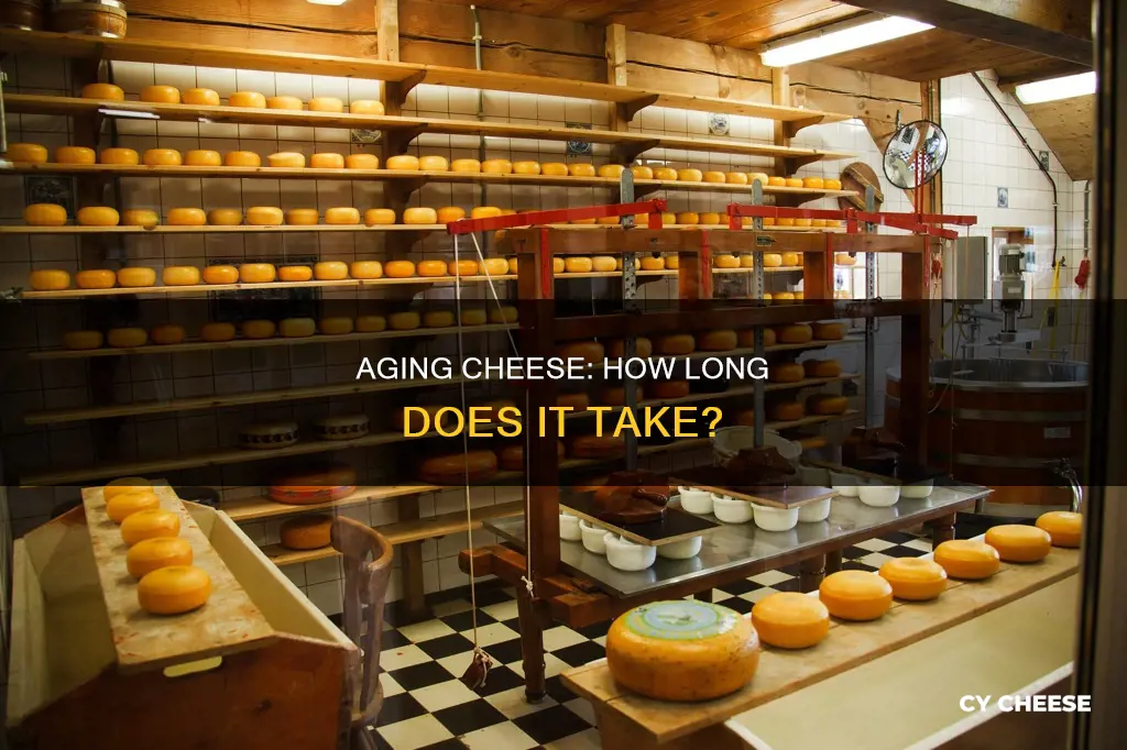 how long does cheese age