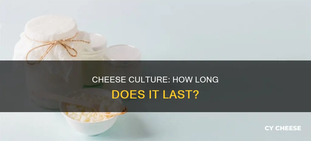 how long does cheese culture last outside a freezer