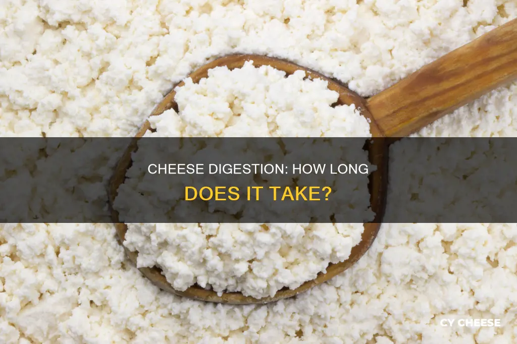 how long does cheese digest