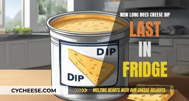 Cheese Dip: How Long Does it Last in the Fridge?