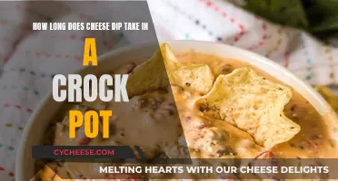 Cheese Dip Slow-Cooked to Perfection